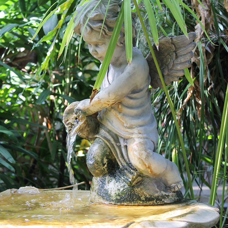 A fountain with a cherub pouring water can be found tucked away in the Jordan Hall greenhouse.